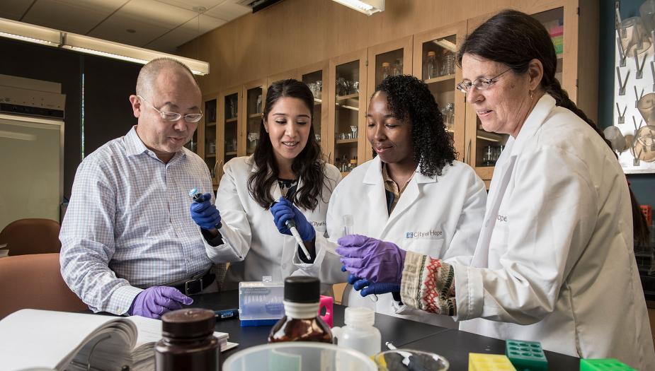 four researchers in a lab
