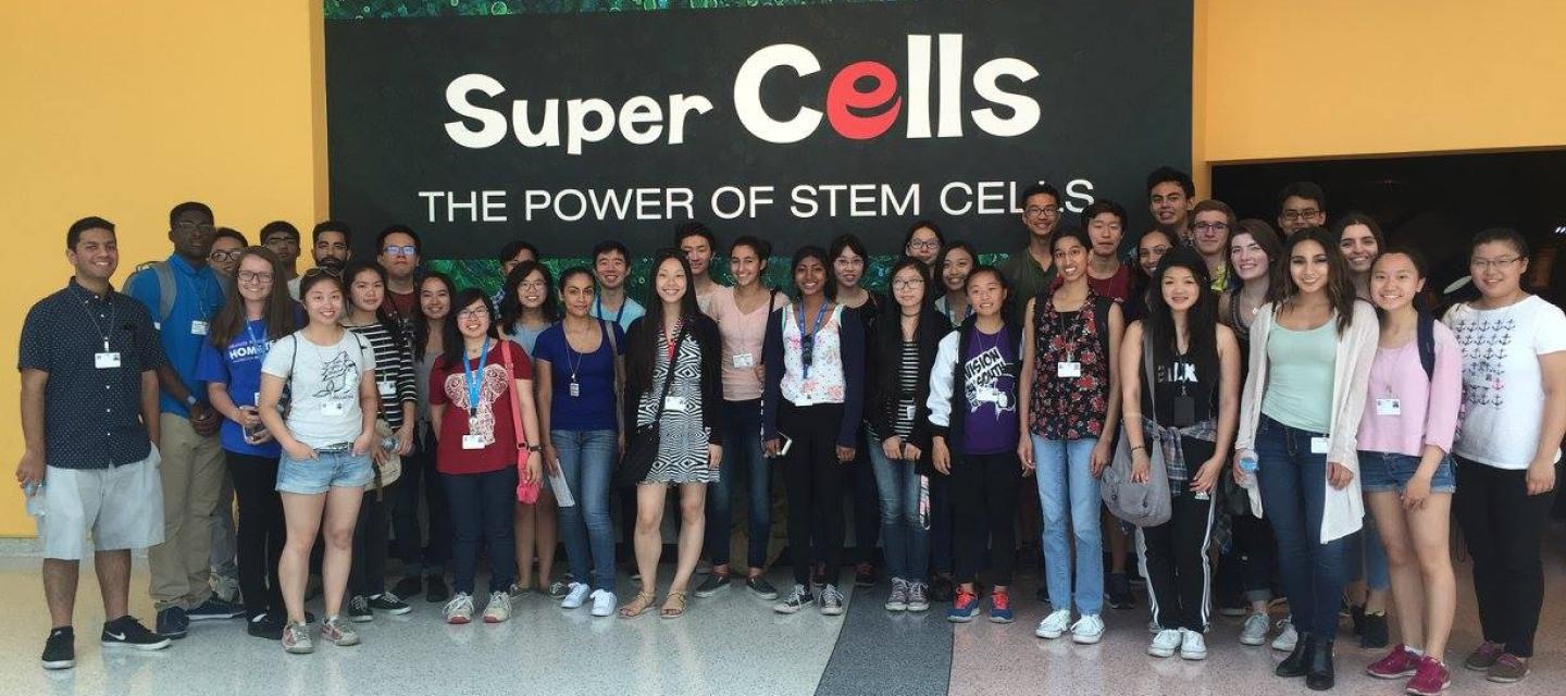Weungart Foundation Super Cells