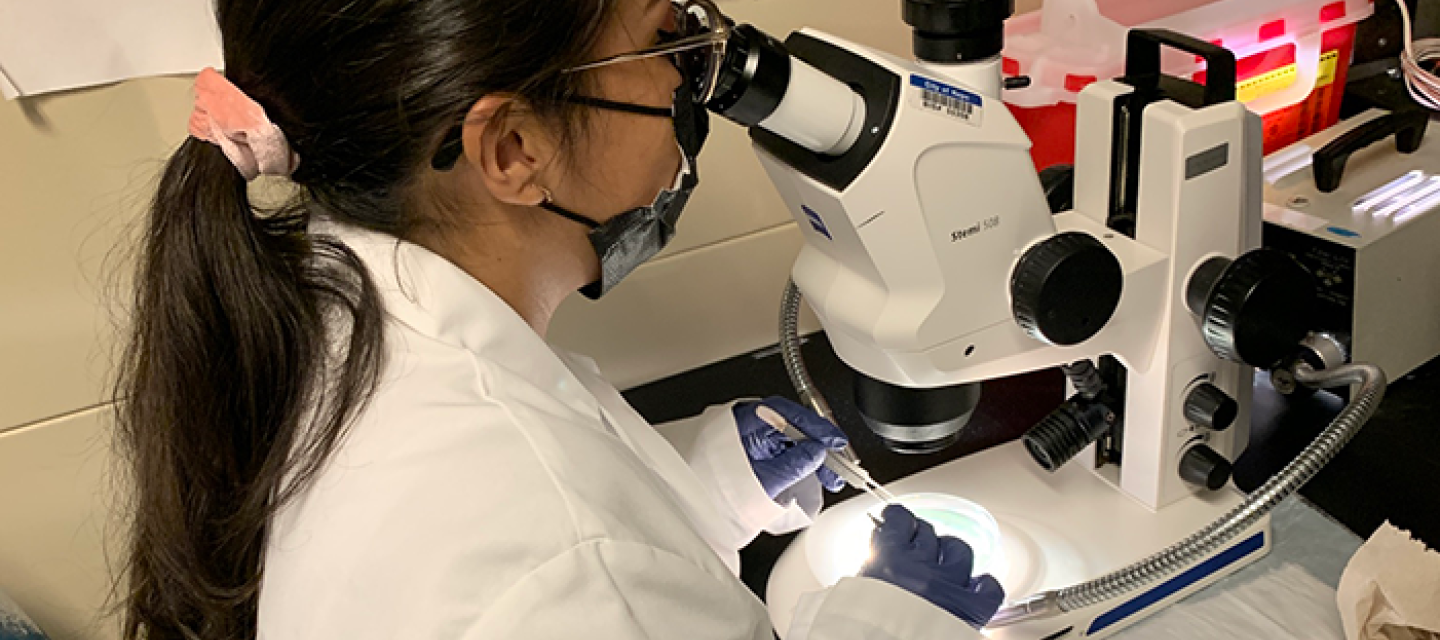 Program trainees gain insight into the teamwork, dedication, and sense of community