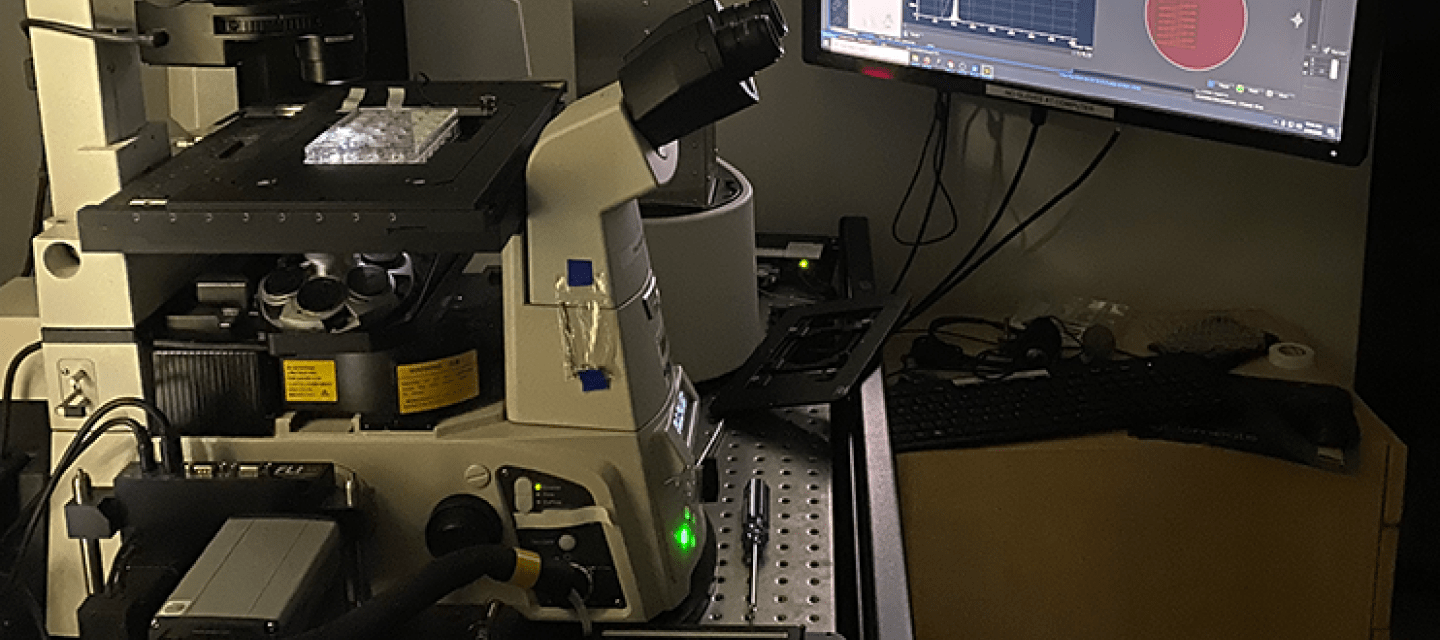 Lab