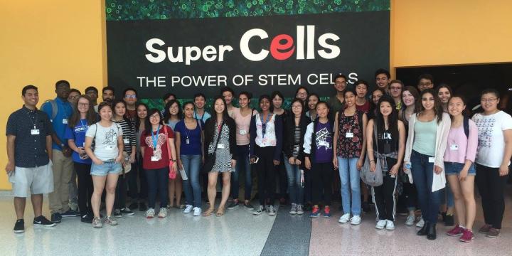 Weungart Foundation Super Cells