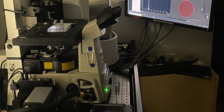Lab