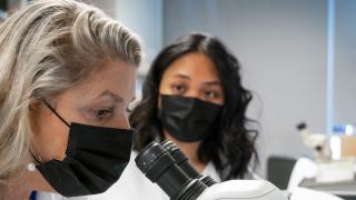 Researcher in a lab